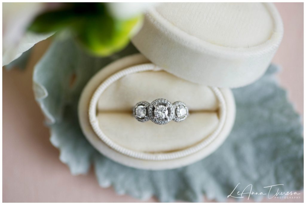 dusty miller with engagement ring