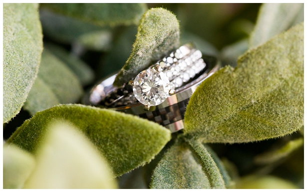 wedding rings on succulents